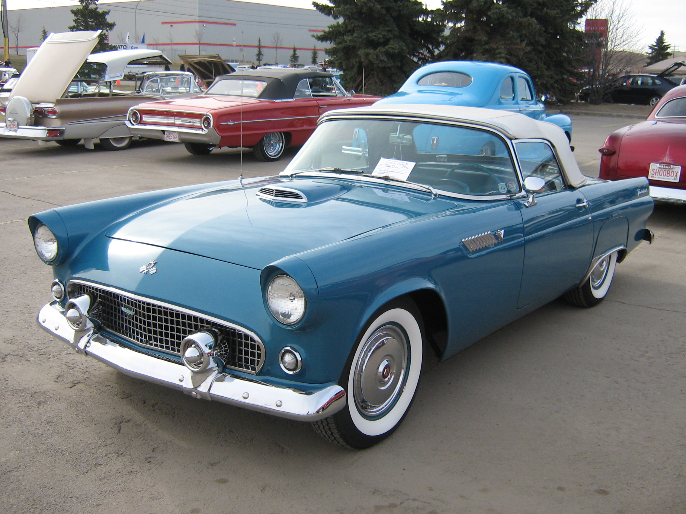 1955 ford tbird