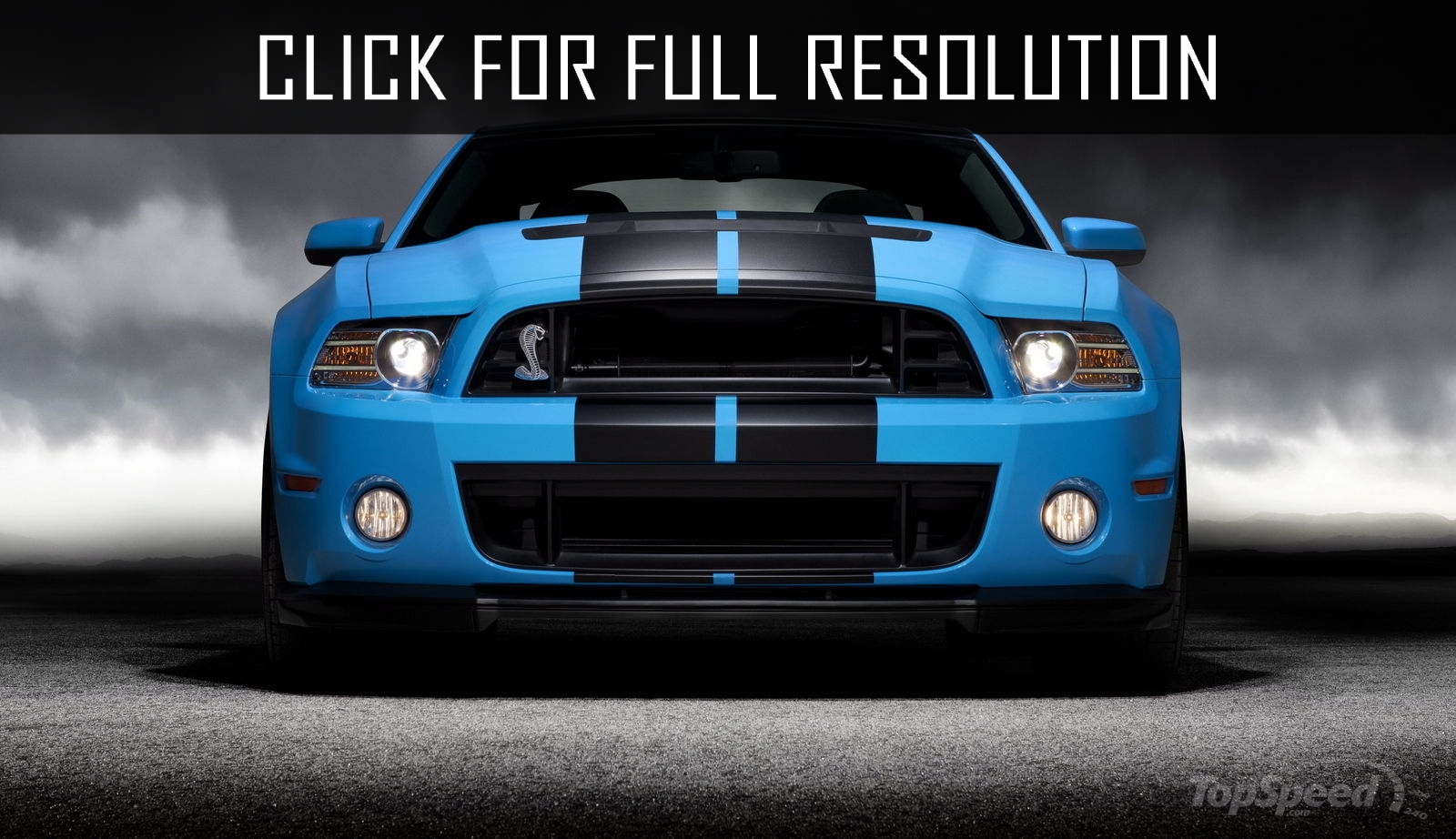 Ford Shelby Gt500 2015