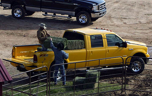 Ford Super Duty V8