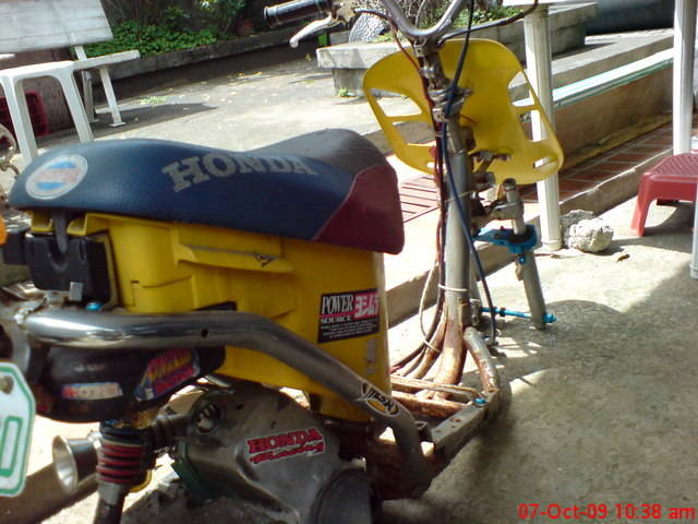 Honda Dio Skeleton