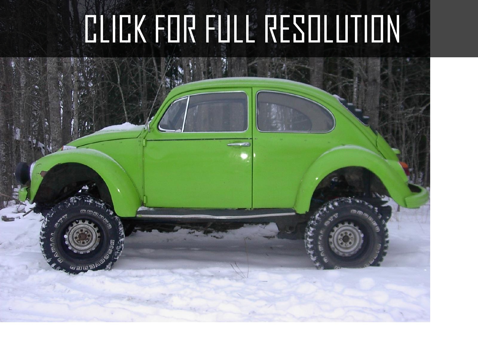 Volkswagen Beetle 4x4