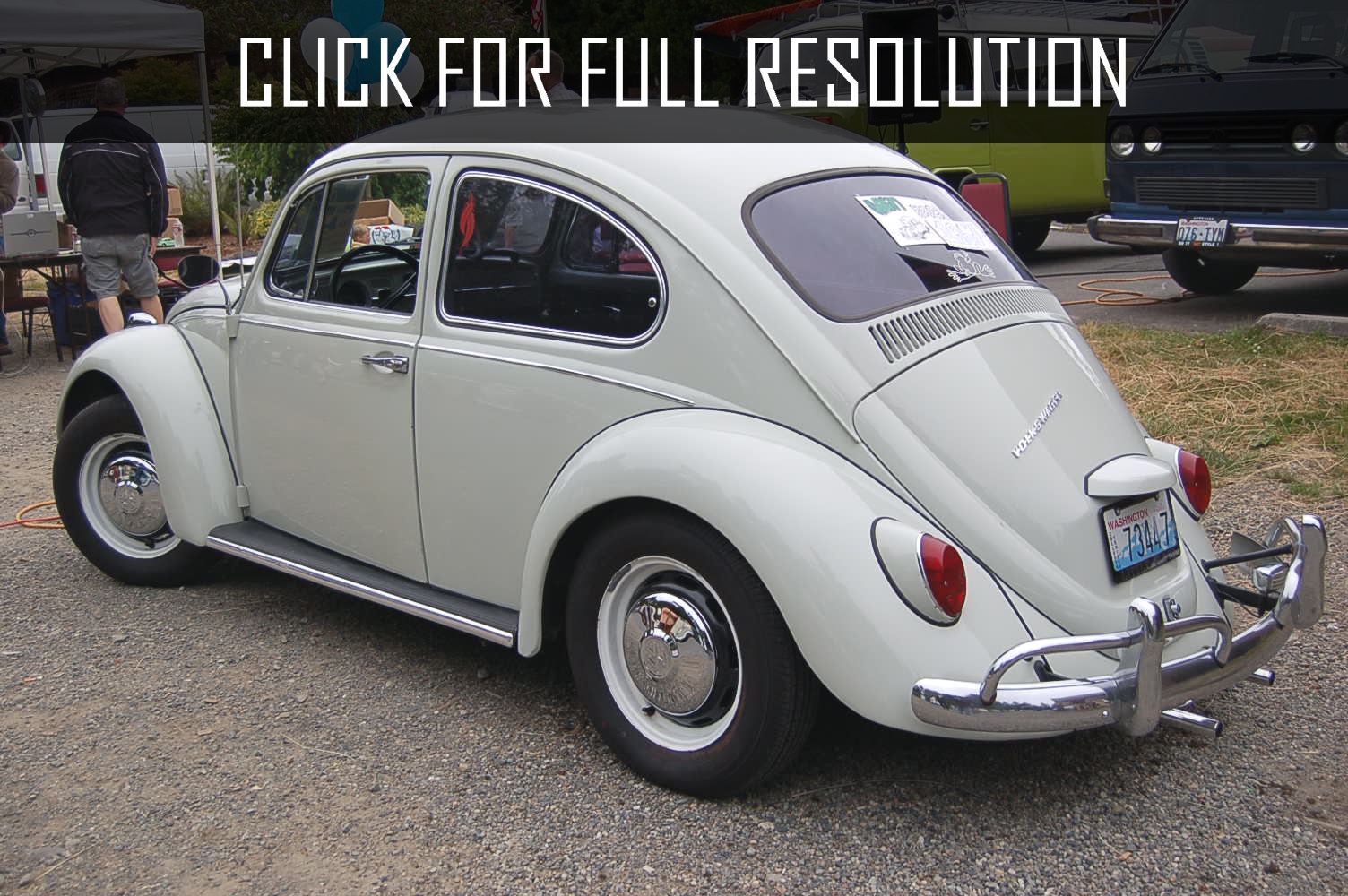 Volkswagen Beetle Bug