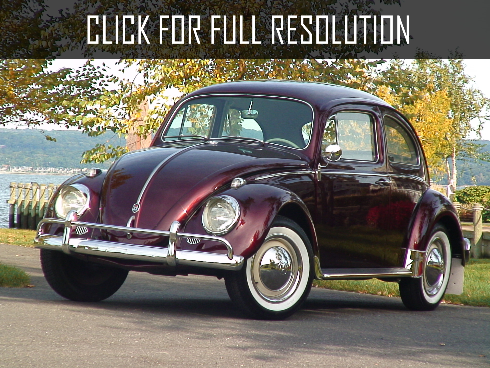 Volkswagen Beetle Classic