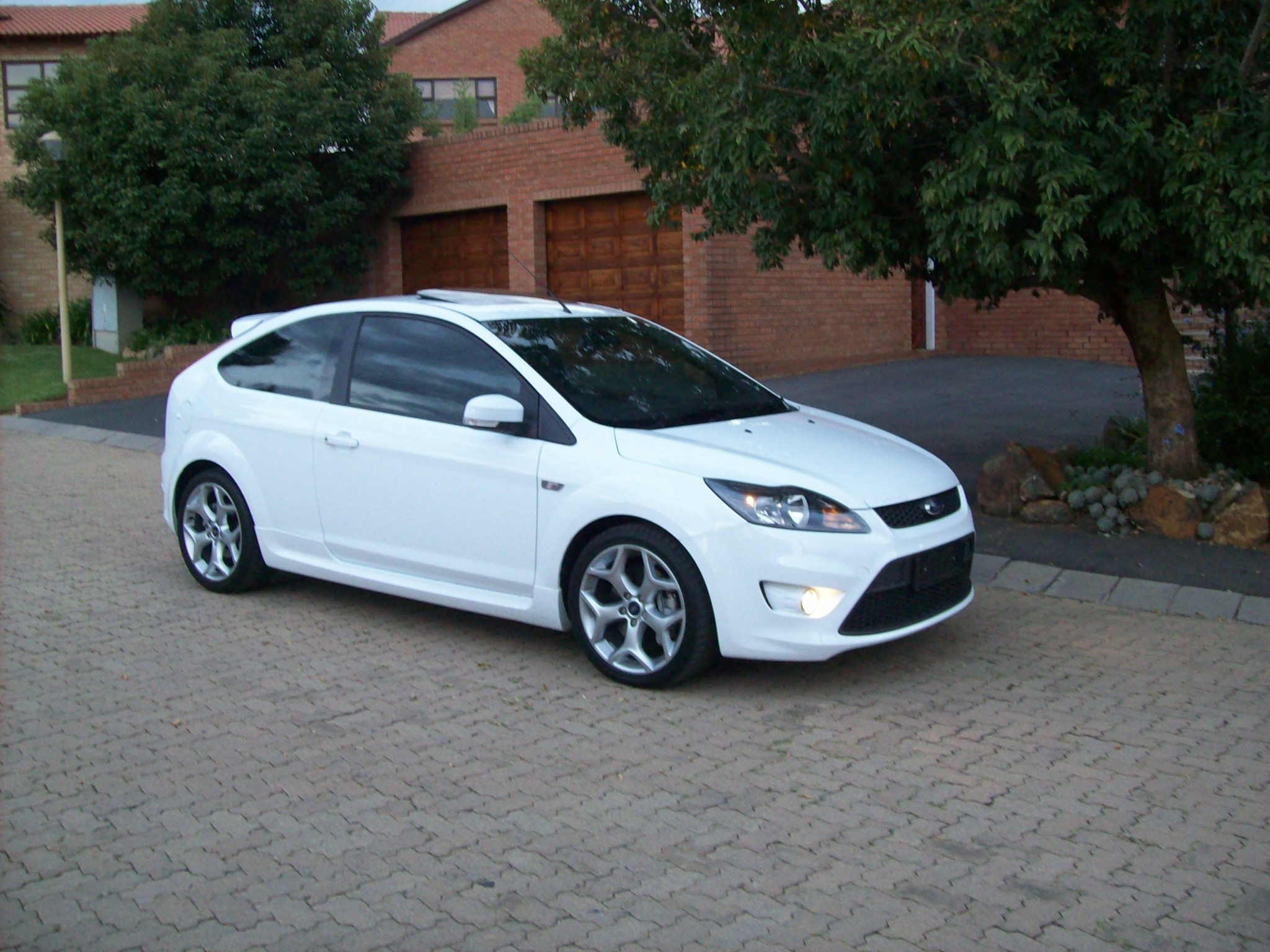 White Ford focus