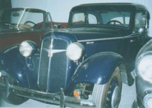 Adler junior