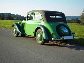 Adler junior