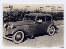 Adler junior