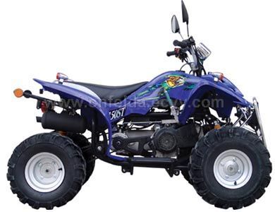 Adly 100cc quad