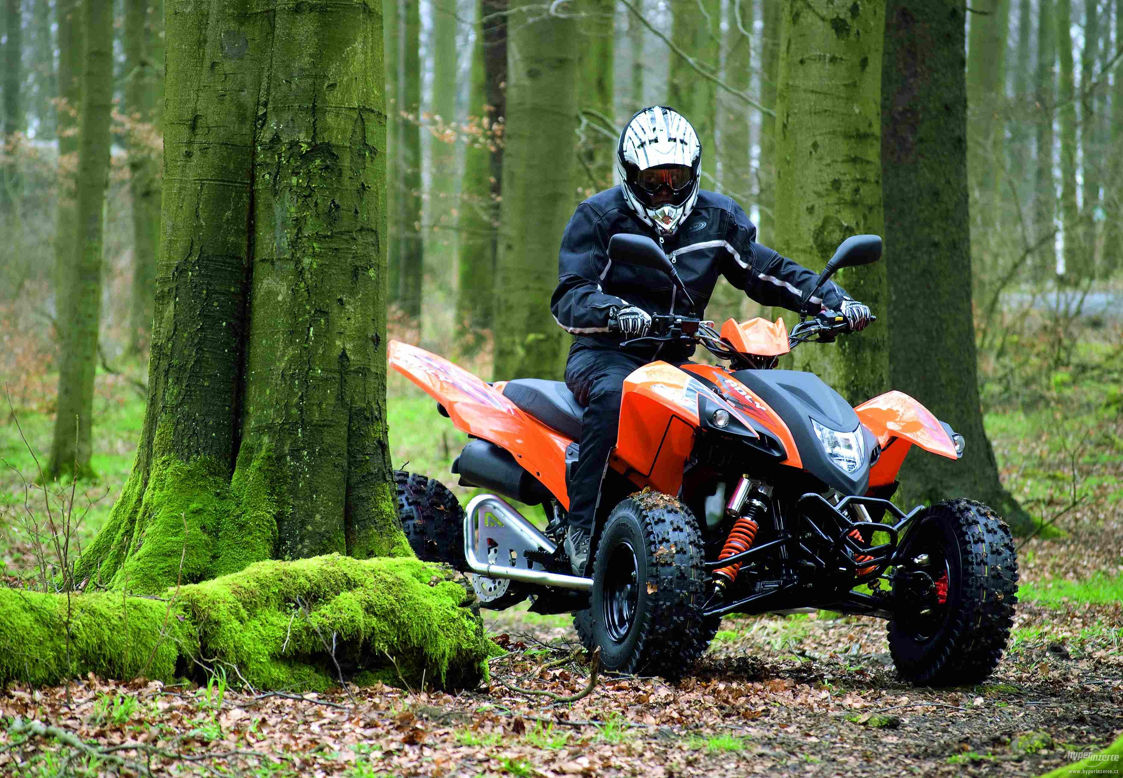 Adly quad