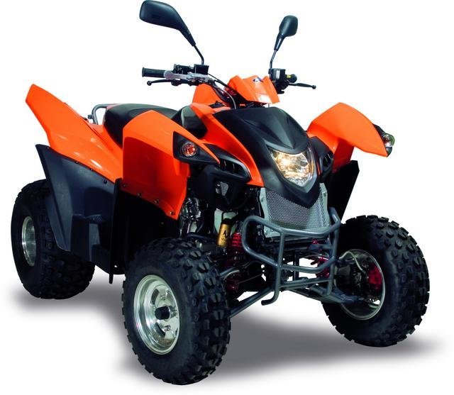 Adly quad