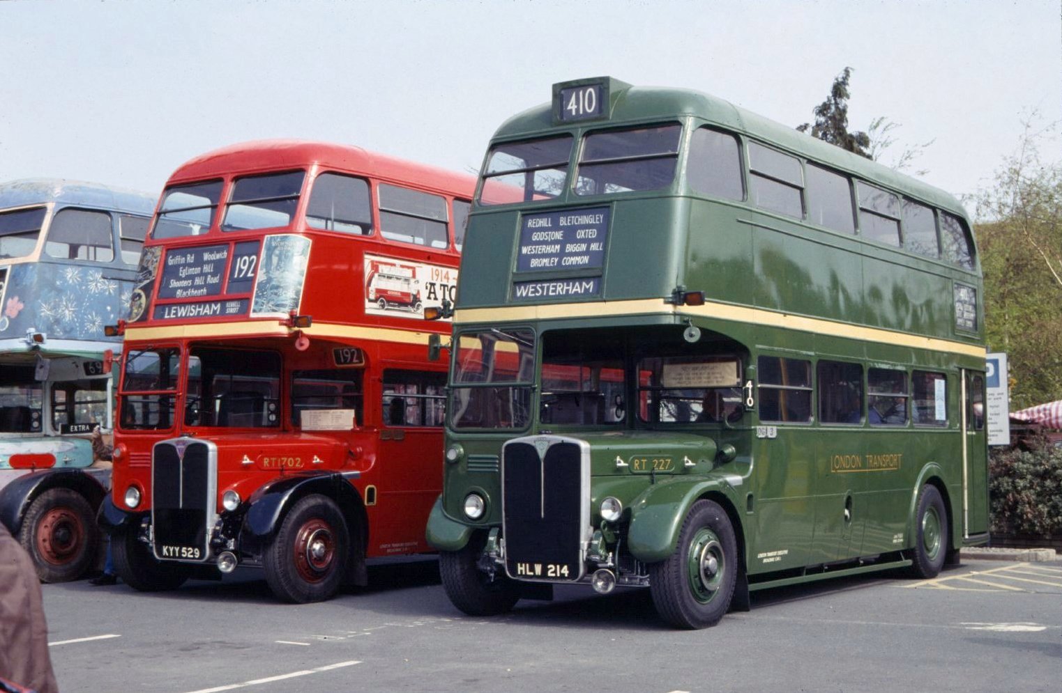 AEC Regent rt