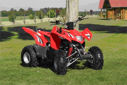 Aeon Cobra 100cc quad