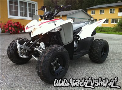 Aeon Cobra 100cc