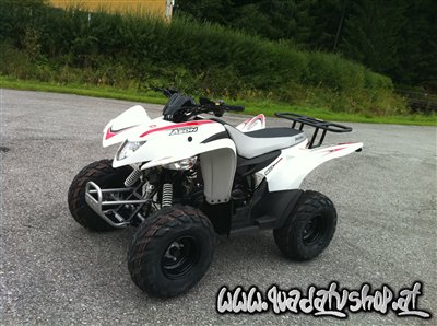Aeon Cobra 100cc