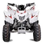 Aeon Cobra 100cc