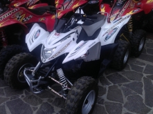 Aeon Cobra 100cc