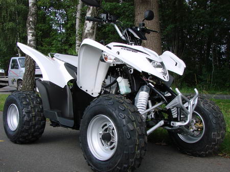 Aeon Cobra 50cc