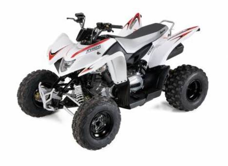 Aeon Cobra Revo 2 100cc