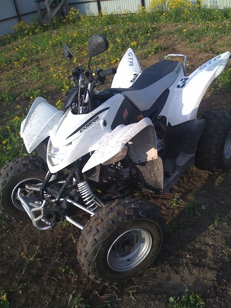Aeon Cobra Revo 2 100cc