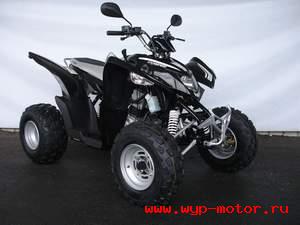 Aeon Cobra Revo 2 100cc