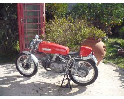 Aermacchi Ala Verde
