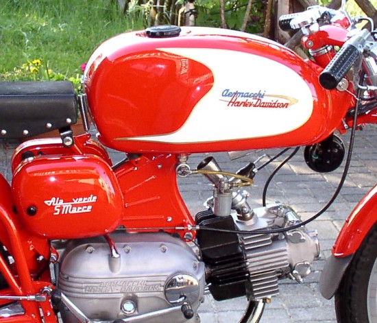 Aermacchi Ala Verde