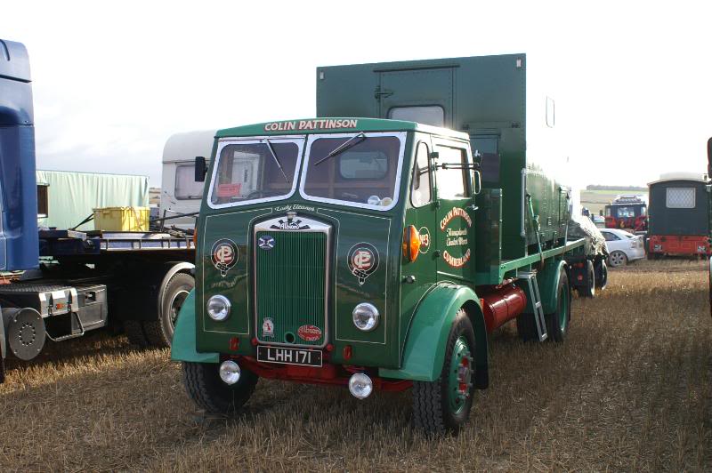 Albion Clydesdale