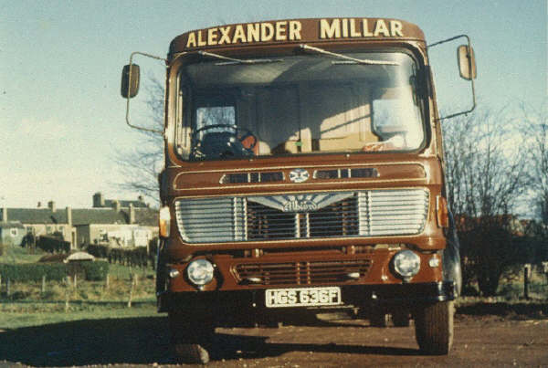 Albion Clydesdale