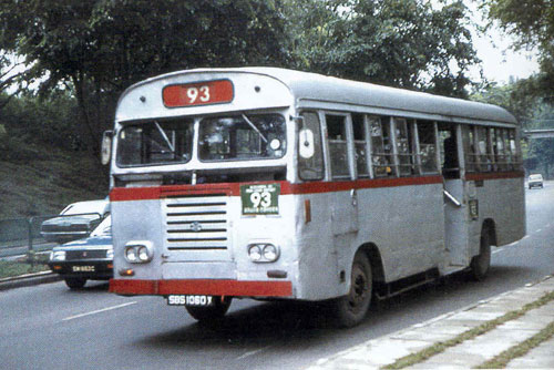 Albion Viking