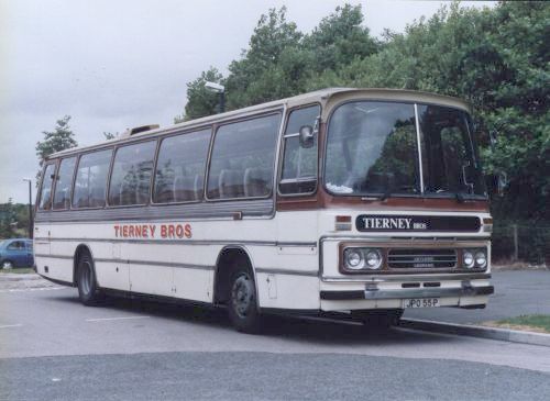 Albion Viking