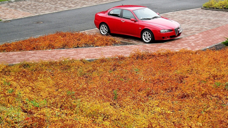 Alfa Romeo 156 Turismo