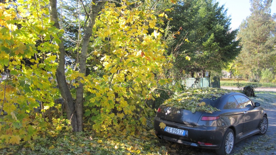 Alfa Romeo GT 2007