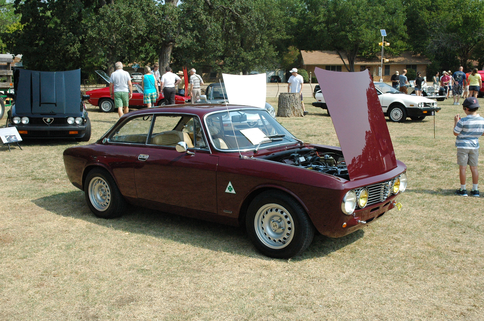 Alfa Romeo GT Veloce