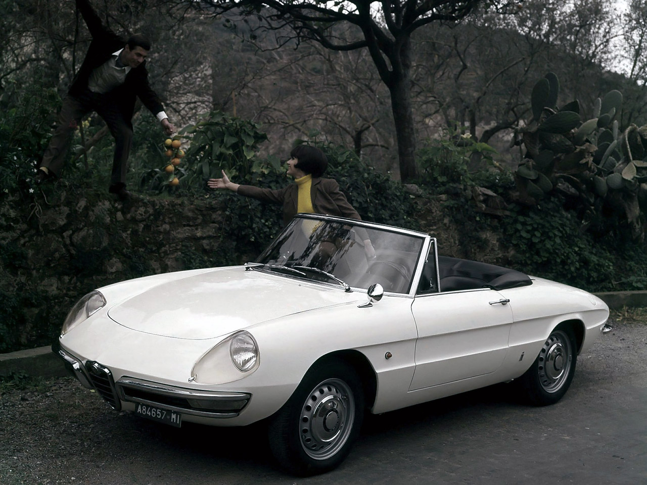 Alfa Romeo Spider 1966