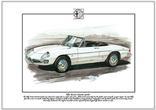 Alfa Romeo Spider Classic
