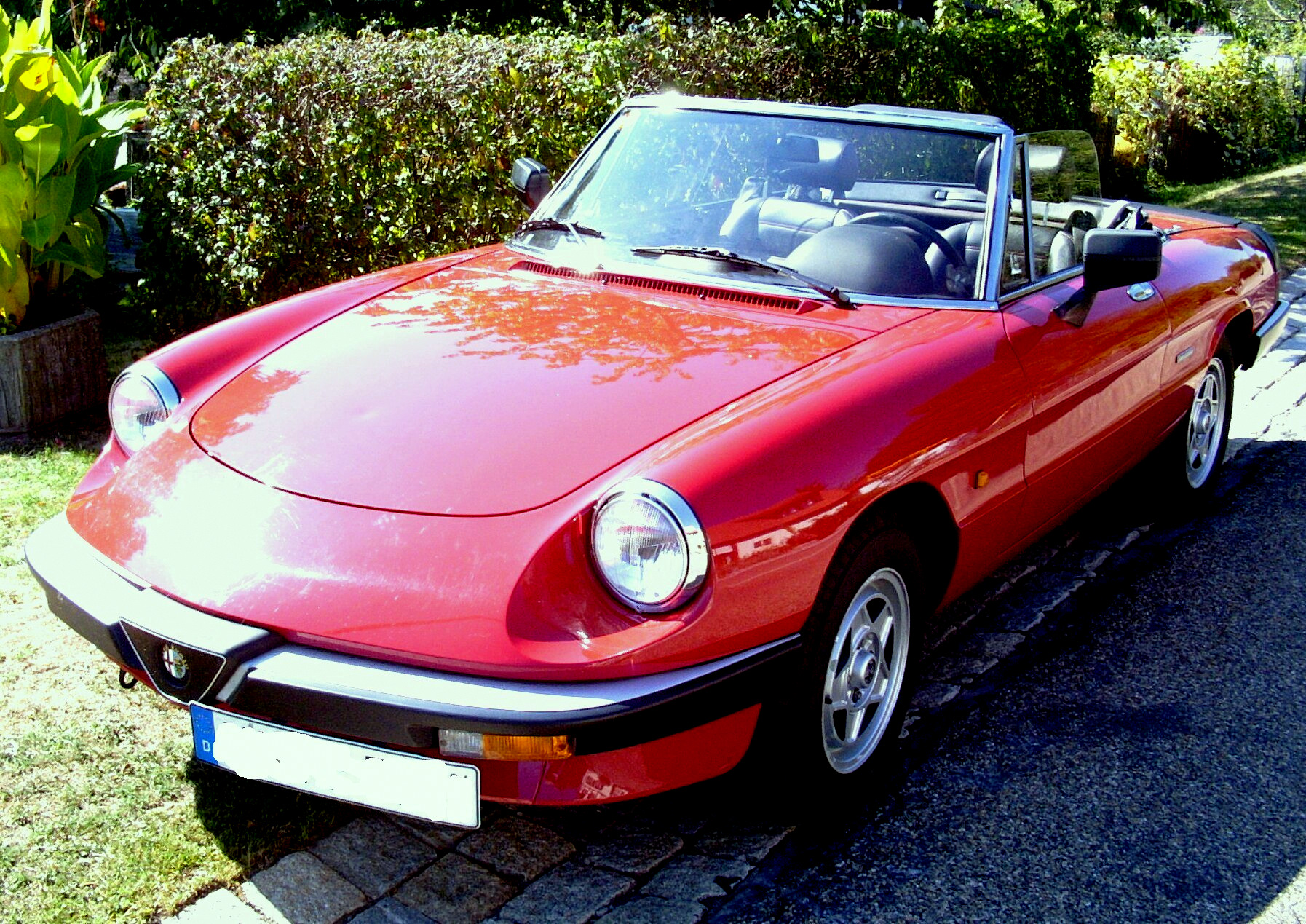 Alfa Romeo Spider S3