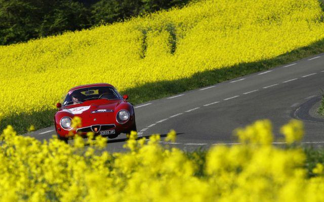 Alfa Romeo TZ Alfa Romeo TZ