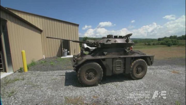 Alvis Fox