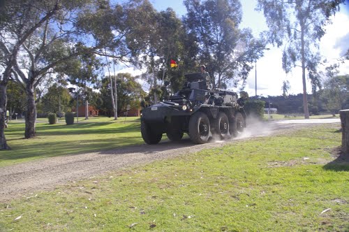 Alvis Fox Alvis Fox