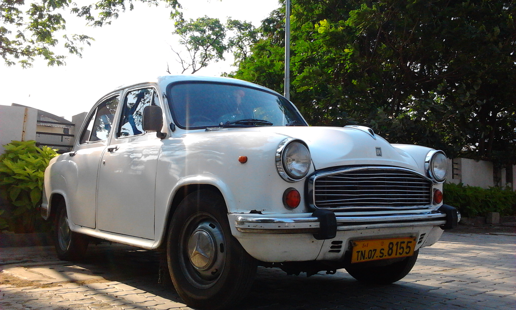 Ambassador Nova