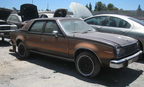 Amc Concord