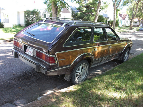 Amc Eagle