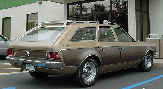 Amc Hornet