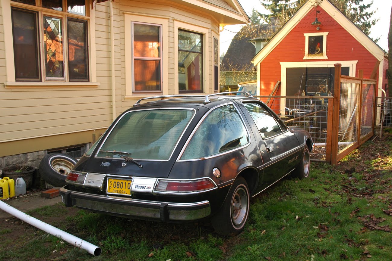 Amc Pacer X