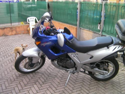 Aprilia Pegaso 650 Factory