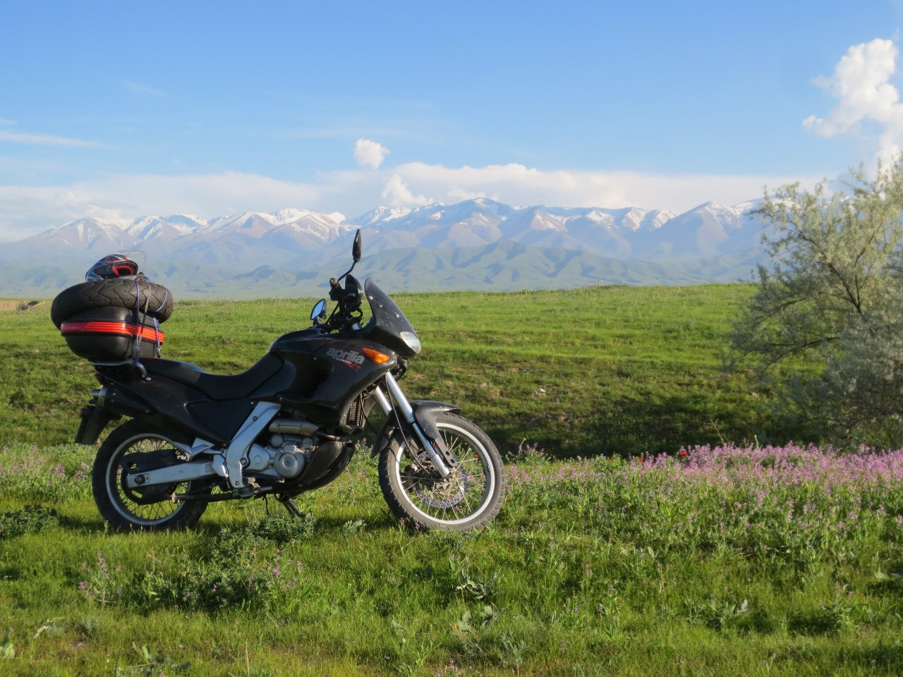 Aprilia Pegaso Trail