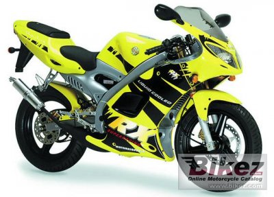 Aprilia Mini RX 50 Experience