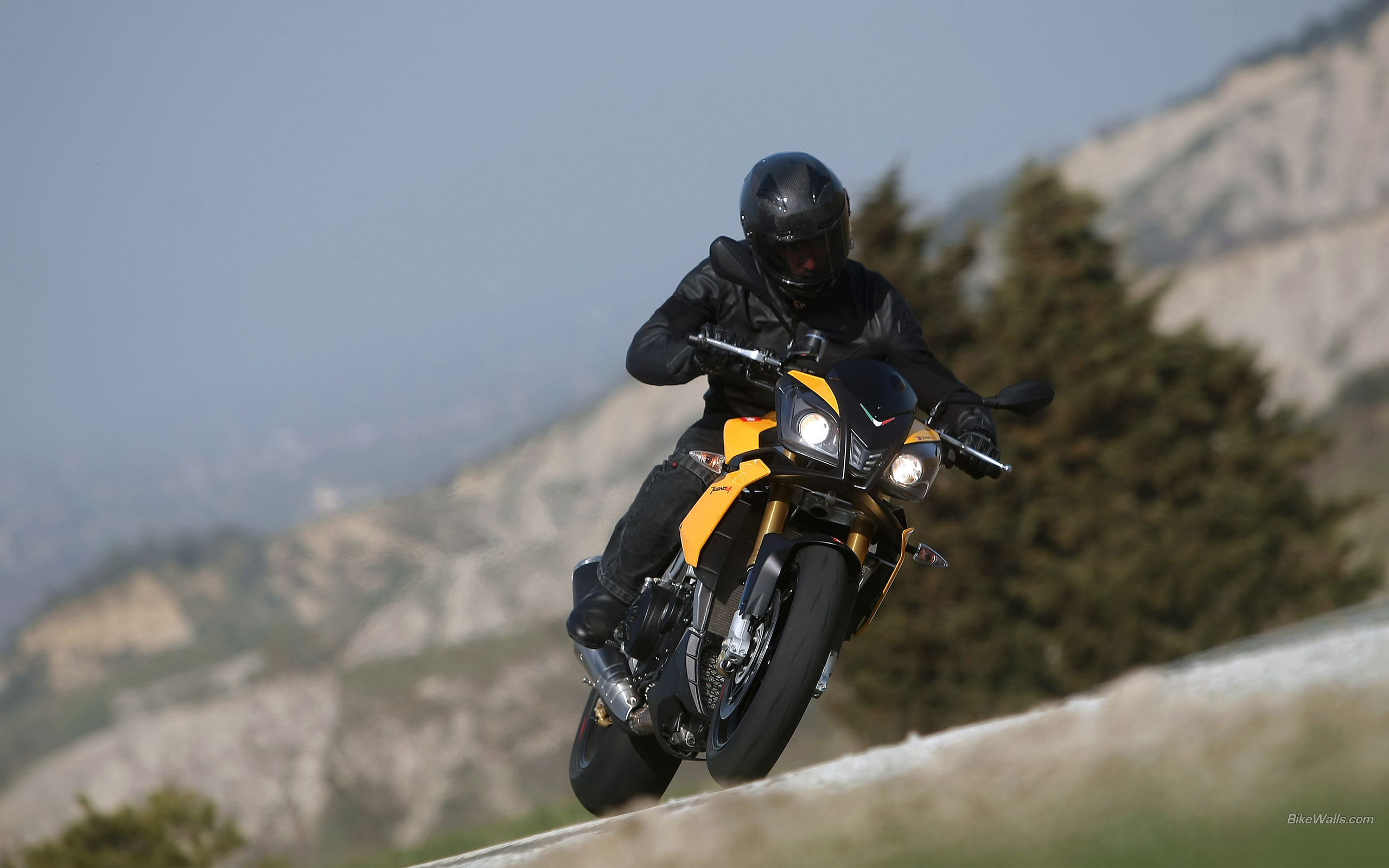 Aprilia Tuono 1000 R Factory