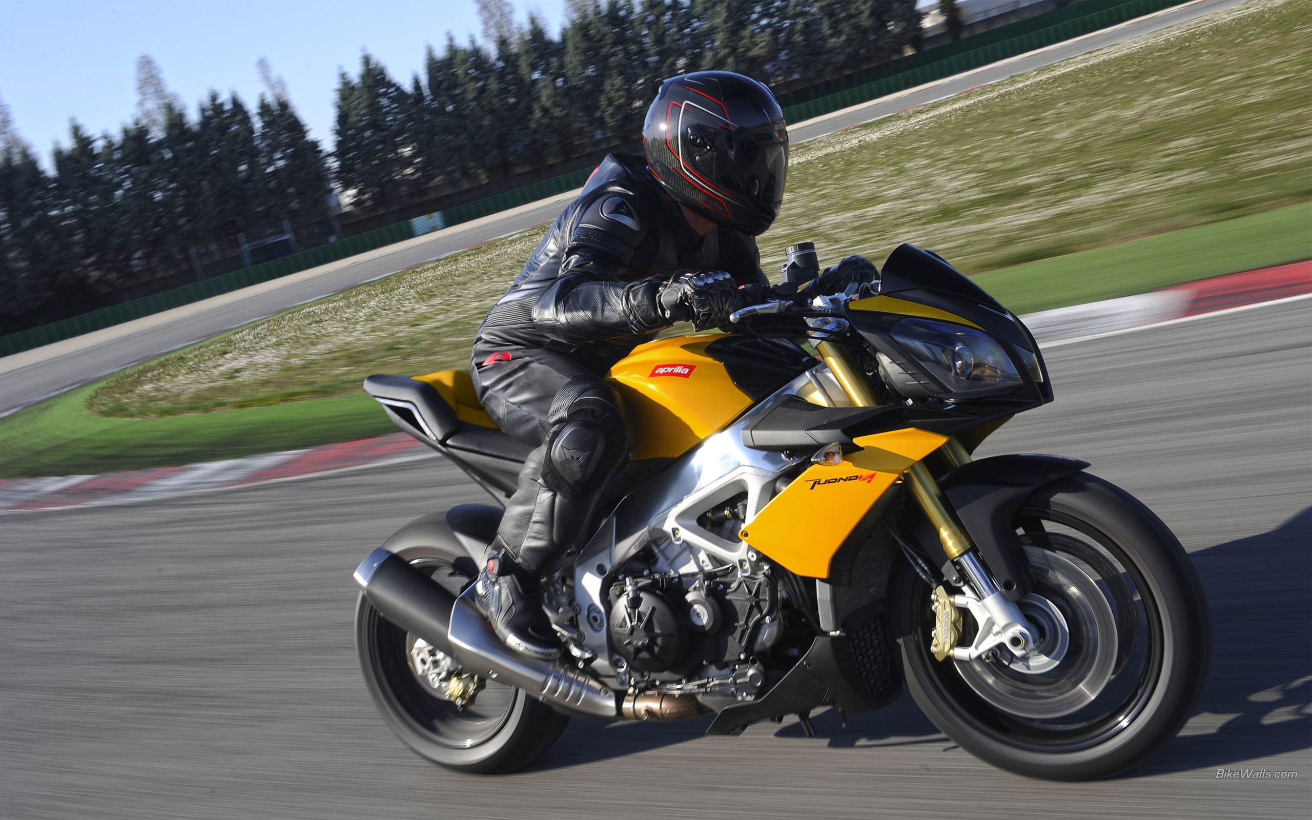 Aprilia Tuono 1000R
