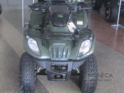 Arctic Cat 150